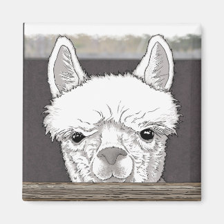 Alpaca Portrait Magnet