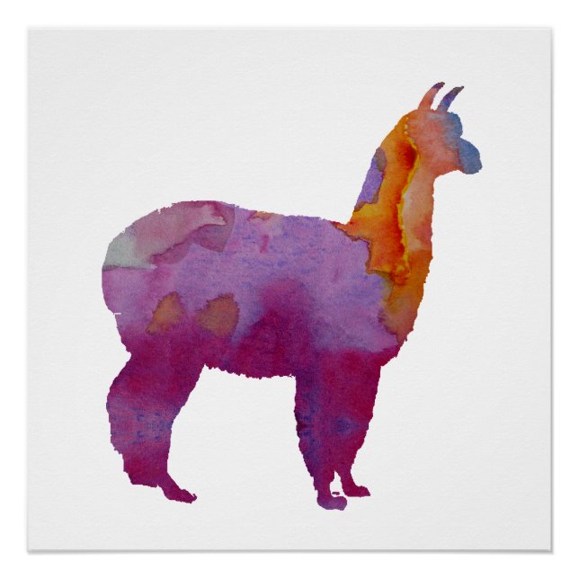 Alpaca Poster (Front)
