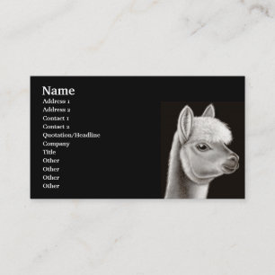 Alpaca Profile Card