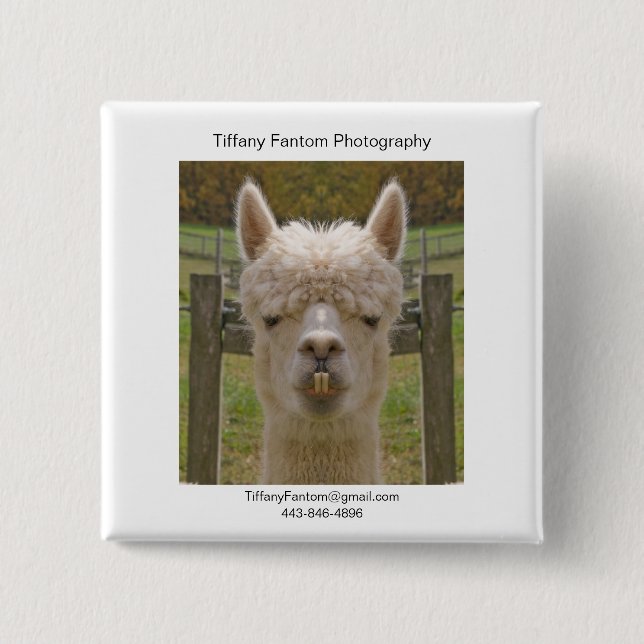 Alpaca Promo Piece Button (Front)