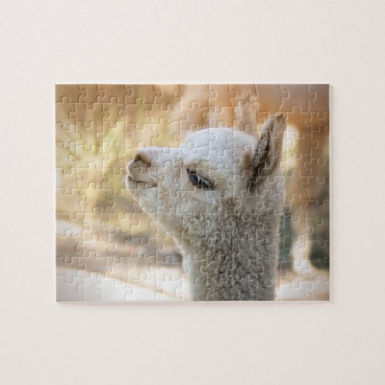 Alpaca Puzzle Celeste