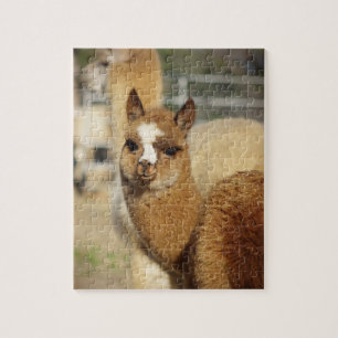 Alpaca Puzzle Juju