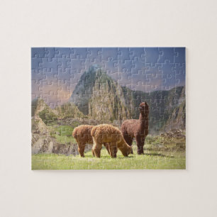 Alpaca Puzzles