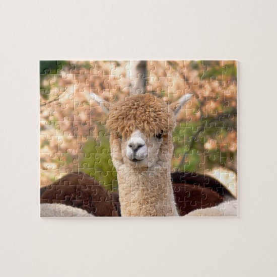 Alpaca Puzzles with Gift Box