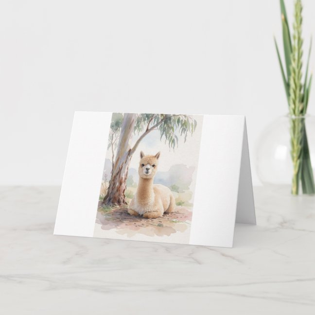Alpaca Resting Under The Eucalyptus Shade Greeting Card
