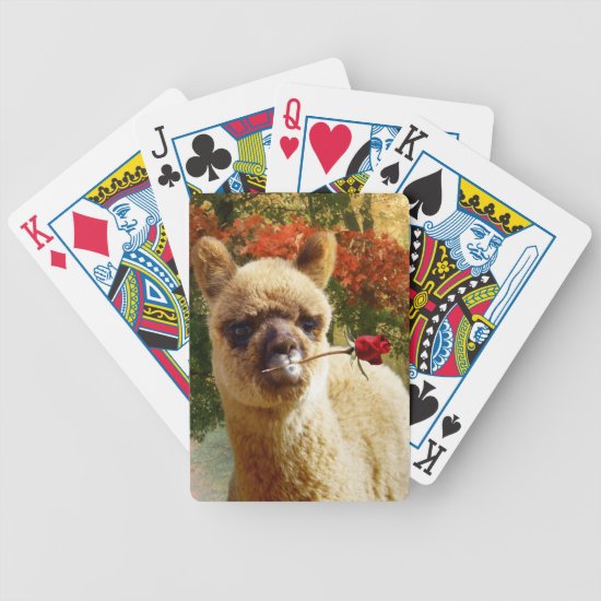 Alpaca Rose Cards