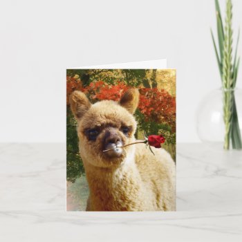 Alpaca Rose Note Cards by WalnutCreekAlpacas at Zazzle