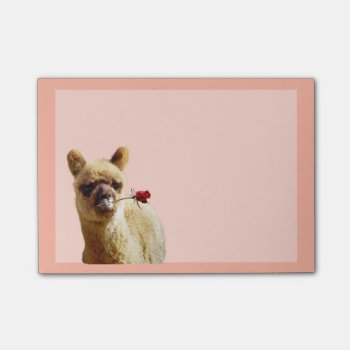 Alpaca Rose Post-it® Notes by WalnutCreekAlpacas at Zazzle