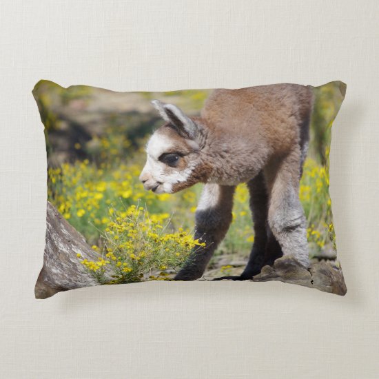 Alpaca Rossi Pillow