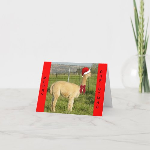 Alpaca Santa Holiday Card