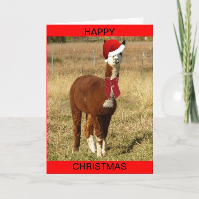 Alpaca Santa Holiday Card (Front)