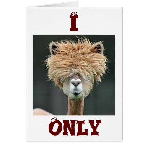 ALPACA SAYS I ONLY HAVE EYES FOR YOU