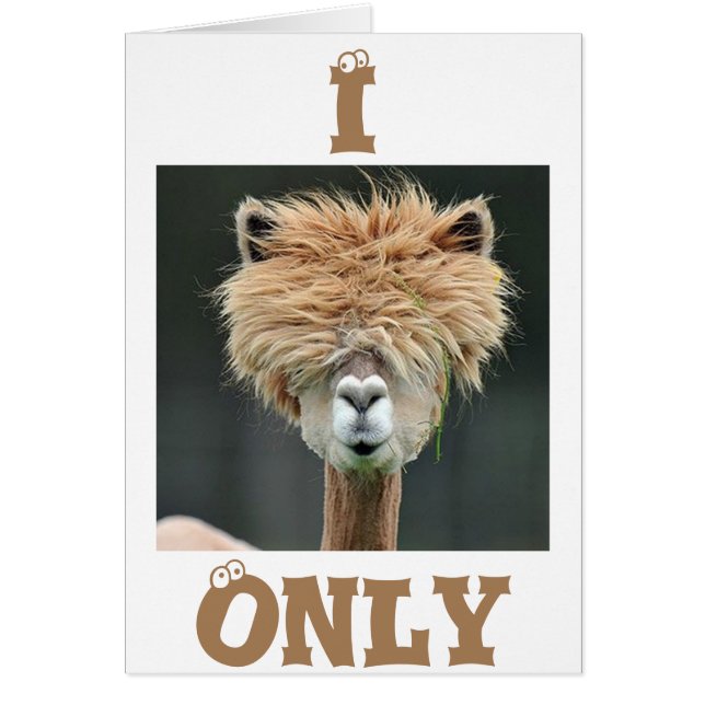 ALPACA SAYS "I ONLY HAVE EYES FOR YOU" (Front)