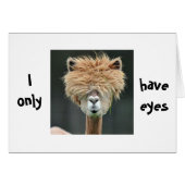 ALPACA SAYS "I ONLY HAVE EYES FOR YOU" (Front Horizontal)