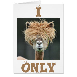 ALPACA SAYS "I ONLY HAVE EYES FOR YOU" CARDS