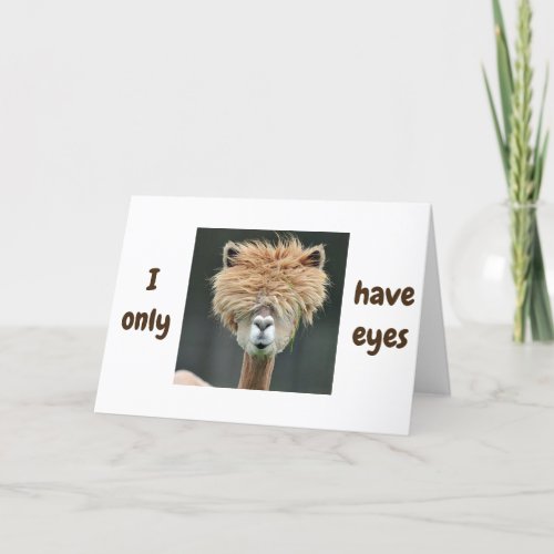 ALPACA SAYS I ONLY HAVE EYES FOR YOU HOLIDAY CARD