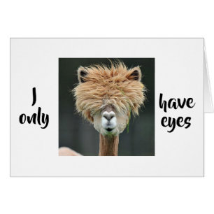 ALPACA SAYS "I ONLY HAVE EYES FOR YOU" LOVE CARD