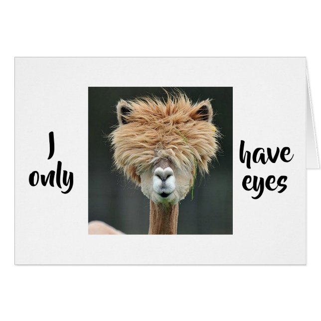 ALPACA SAYS "I ONLY HAVE EYES FOR YOU" LOVE CARD (Front Horizontal)