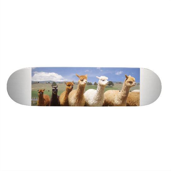 Alpaca Skateboard