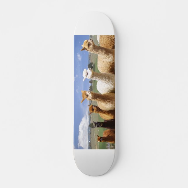 Alpaca Skateboard Deck (Front)