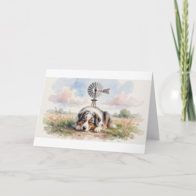 Alpaca Sleeping On The Sun-warmed Terrace Hay Gree Card