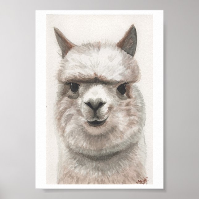 Alpaca Smile Art Print Ready To Framing Miranda (Front)