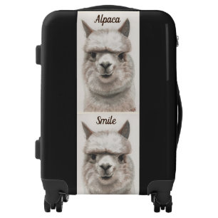 Alpaca Smiles Carry On Luggage Spins Locks Pockets