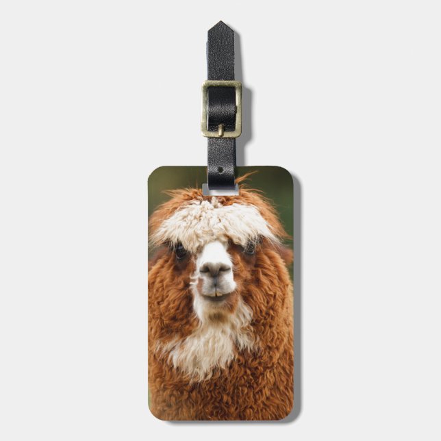 Alpaca Smiles Luggage Tag (Front Vertical)