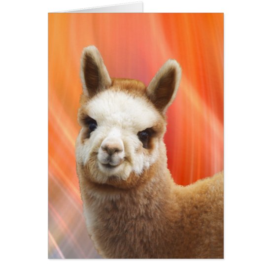 Alpaca Smiling Birthday Cards