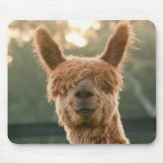 Alpaca Smiling Mouse Pad