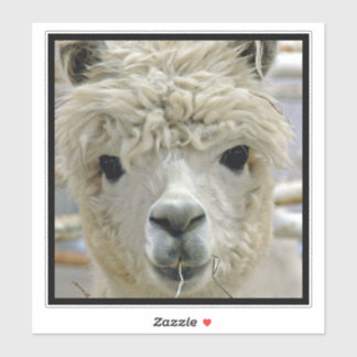 Alpaca Sticker