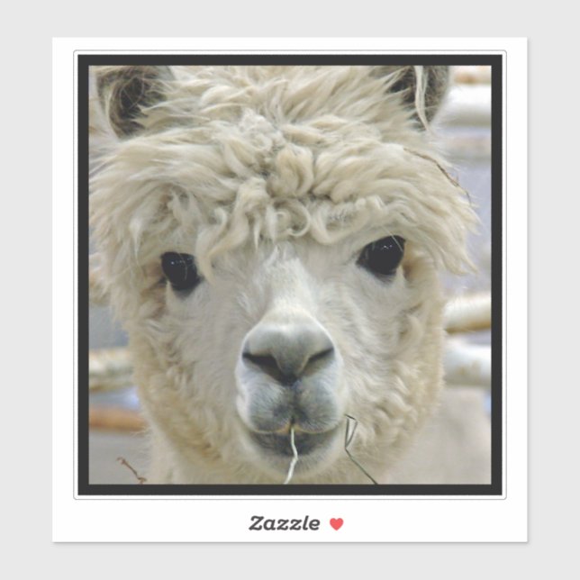 Alpaca Sticker (Sheet)