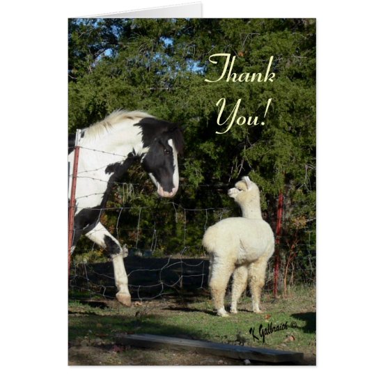 Alpaca Thank You Card