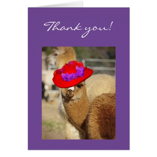 Alpaca Thank You Cards