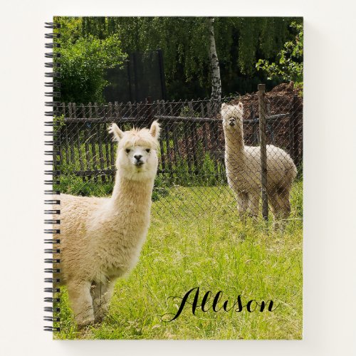 Alpaca Themed Notebook Personalized