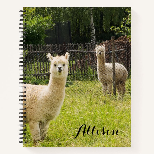 Alpaca Themed Notebook Personalized (Front)