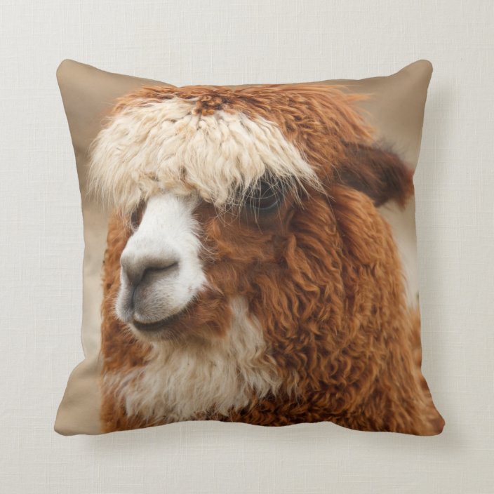 alpaca travel pillow