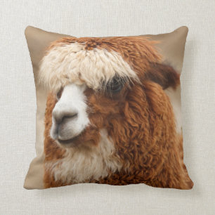 Alpaca throw pillow