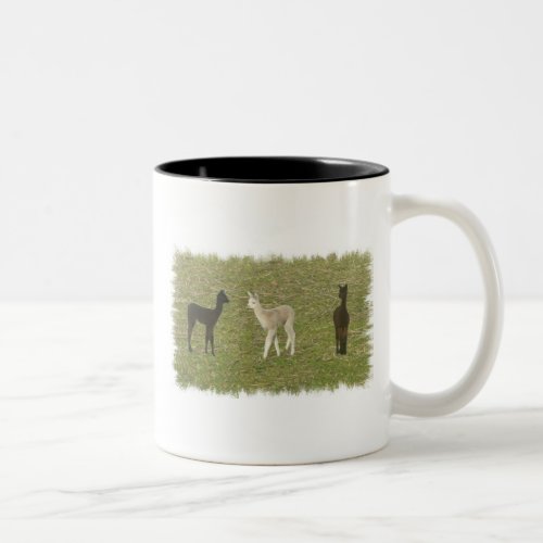 Alpaca Trio Two_Tone Coffee Mug