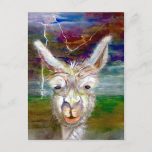 Alpaca - Uncle Glen postcard