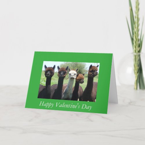 Alpaca Valentines Day Holiday Card