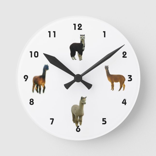 Alpaca Wall Clock (Front)