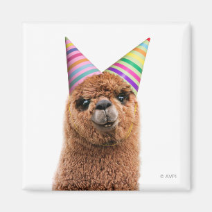 Alpaca Wearing Party Hats Magnet