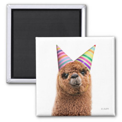 Alpaca Wearing Party Hats Magnet