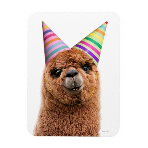 Alpaca Wearing Party Hats Magnet