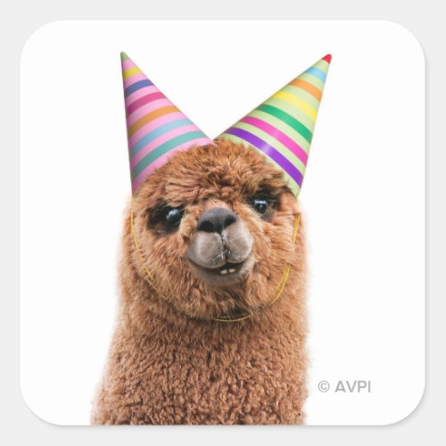 Alpaca Wearing Party Hats Square Sticker