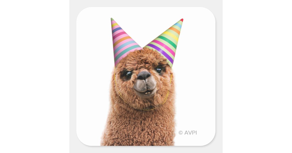 Happy Alpaca Birthday Stickers