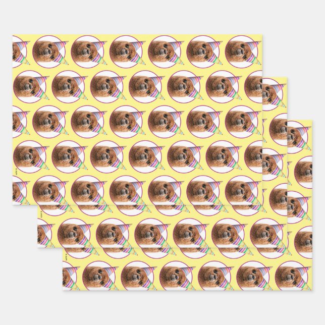 Alpaca Wearing Party Hats Wrapping Paper Sheets (Set)