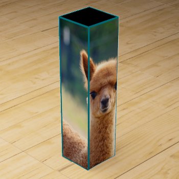 Alpaca Wine Gift Box by WalnutCreekAlpacas at Zazzle