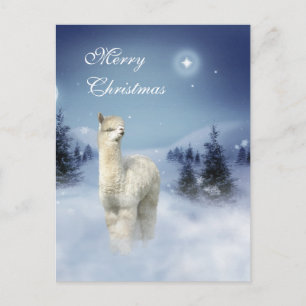Alpaca Winter Night Christmas Postcards